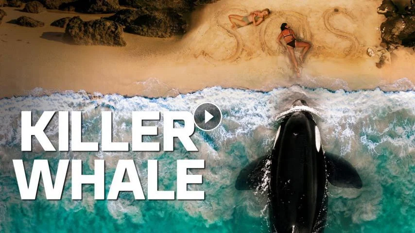 Killer Whale 2026 مترجم